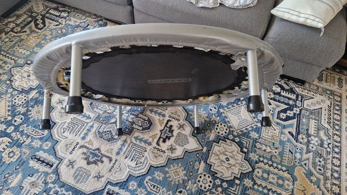trampoline