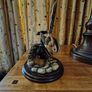 Long Tailed Tit on Wooden Base by Thistle Green Image 5