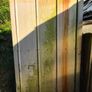Metal shed storage Image 2