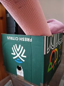 Free Cardboard Box (with free stuff in it)