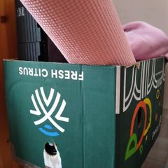 Free Cardboard Box (with free stuff in it)
