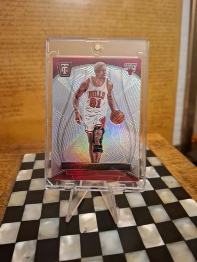 Dennis Rodman (free Postage)