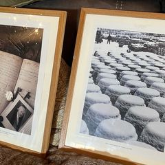 Set of 4 Guinness Framed Prints