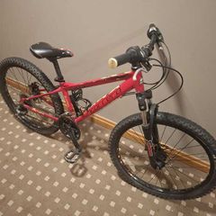 Carrera Blast 24 kids bike