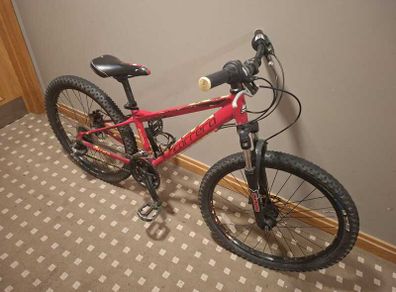 Carrera Blast 24 kids bike