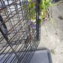 Dog Cage Image 2