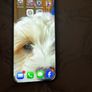 i phone 13 pro 256g Image 3