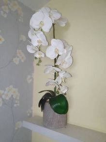 Artifical orchid flower in pot