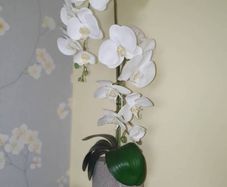 Artifical orchid flower in pot