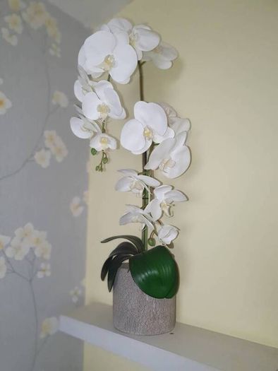 Artifical orchid flower in pot