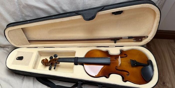 Adult size violin