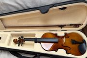 Adult size violin