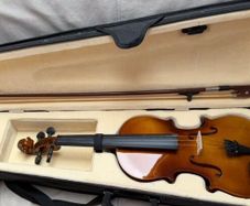 Adult size violin