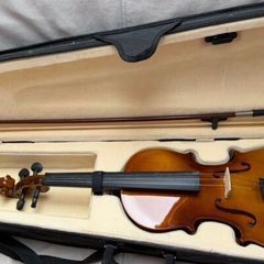 Adult size violin