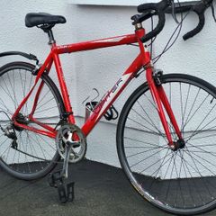 Road Bike  Jupiter Large Frame