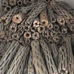 Pieces Cholla Cactus Wood 6"/Chinchilla Chews, shrimps, fishtank