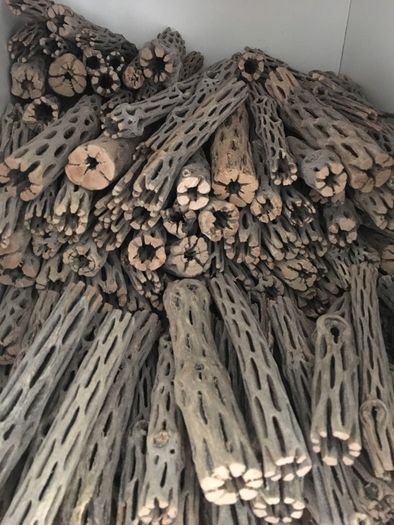 Pieces Cholla Cactus Wood 6"/Chinchilla Chews, shrimps, fishtank