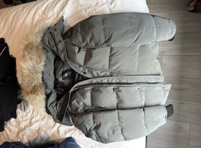 Canada Goose