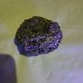 Pyrite specimen Image 5