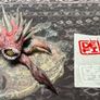 Defiance Ultimate Collectors Edition PS3 Complete Image 3