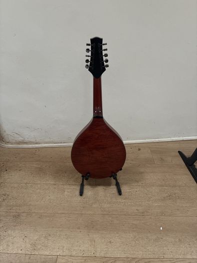 10 String Mandolin