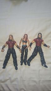 Matt & Jeff Hardy & lita