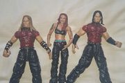 Matt &amp; Jeff Hardy &amp; lita