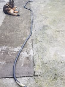 Diesel hose