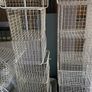 Metal cages Image 3