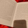 book Image 2