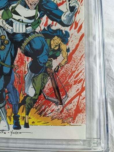 The Punisher  Issue 17 CBCS / CGC 9.8  Certified Graded Comic Framed  DC Marvel