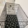 Dog crate Image 4