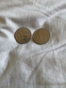 2 x one punt coin 5 for both