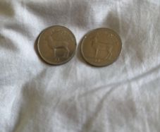 2 x one punt coin 5 for both