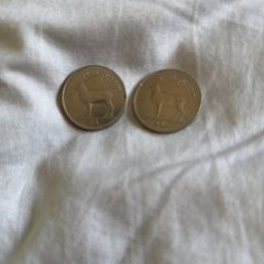 2 x one punt coin 5 for both