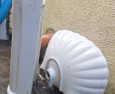wash bassin with pedestal