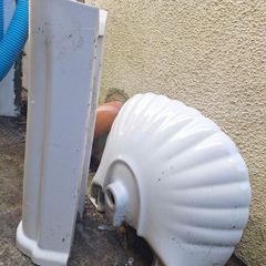 wash bassin with pedestal