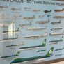 Rare 1986 Aer Lingus Golden Jubilee Framed Lithograph Poster Image 9