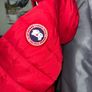 Canada goose kids Image 3