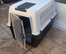 Large Dox Box / Carrier