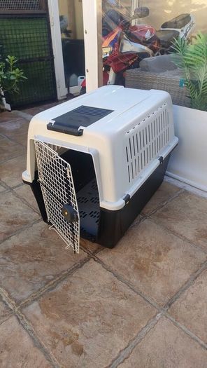 Large Dox Box / Carrier