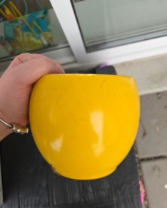 Plant pots