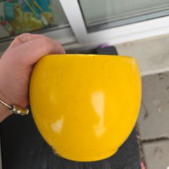 Plant pots