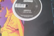 Legend b lost in love 12"