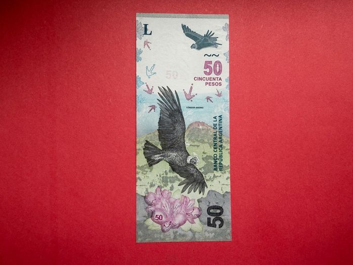 Argentina. 50  Pesos  2020. Pick  363  ( Uncirculated )