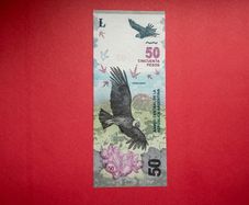 Argentina. 50  Pesos  2020. Pick  363  ( Uncirculated )