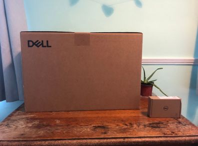 DELL 22 inch monitor E2225HSM and mouse
