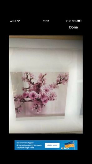 Framed Floral Print