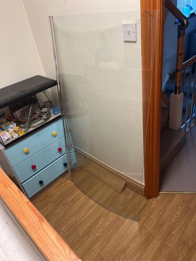Curved shower door