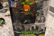 Turtles